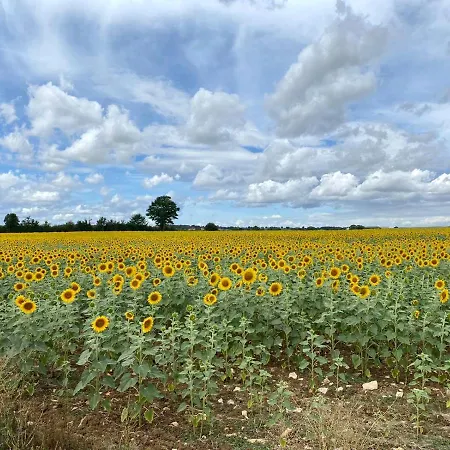 - - Sleeps 5 - Pool - Garden Nyaraló *